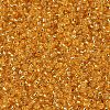 MIYUKI Round Rocailles Beads SEED-G007-RR0007-1