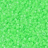 MIYUKI Delica Beads SEED-J020-DB2040-1