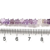 Natural Amethyst Beads Strands G-G085-B01-01-4