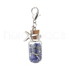 Chakra Natural Lapis Lazuli & Amethyst & Carnelian & Citrine & Garnet & Green Aventurine & Synthetic Turquoise Chips inside Glass Wishing Bottle Pendant Decoration HJEW-JM03310-4