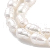 Natural Cultured Freshwater Pearl Beads Strands PEAR-P062-04C-4