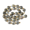 Natural Labradorite Beads Strands G-G271-C09-10mm-3