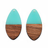 Transparent Resin & Walnut Wood Pendants RESI-N025-032-C04-1