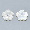 Natural White Shell Beads SSHEL-S260-080-2