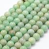 Natural Amazonite Beads Strands G-P322-22-10mm-2