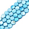 Freshwater Shell Beads Strands SHEL-T009-B16-2