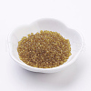 (Repacking Service Available) Glass Seed Beads SEED-C013-4mm-2B-1