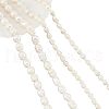  4Strands 2 Styles Natural Cultured Freshwater Pearl Beads Strands PEAR-NB0001-64-1