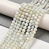Natural Green Opal Beads Strands G-Z035-A02-03B-2