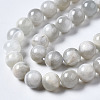 Natural White Moonstone Beads Strands G-N328-51B-01-3