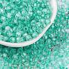 Glass Seed Beads SEED-A032-05M-1