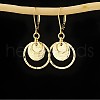 Alloy Hoop Earrings FS-WG612A9-01-2