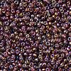 MIYUKI Round Rocailles Beads SEED-X0054-RR1005-3