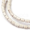 Synthetic Turquoise Beads Strands TURQ-L029-01-2