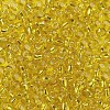 6/0 Glass Seed Beads SEED-A005-4mm-30-2