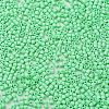 Baking Paint Glass Seed Beads SEED-S042-05B-59-3