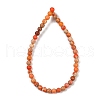 Dyed Natural Regalite/Imperial Jasper/Sea Sediment Jasper Beads Strands G-B124-C04-15-3