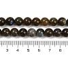 Natural Labradorite Beads Strands G-I253-01-8mm-5