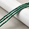 Natural Howlite Beads Strands G-F791-A01-1