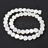 Natural White Shell Beads Strands SSHEL-C013-06-2