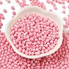 Baking Painted Glass Seed Beads SEED-C004-01U-2