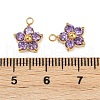 304 Stainless Steel Micro Pave Cubic Zirconia Charms STAS-B088-01G-05-3