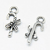 Tibetan Style Alloy Charms X-TIBE-S301-028AS-NR-1