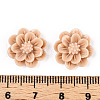 Resin Cabochon CRES-B3259-A80-3