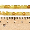 Natural Yellow Opal Beads Strands G-R013-C01-5