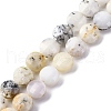 Natural White African Opal Beads Strands G-C179-A35-03-2