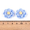 Resin Decoden Cabochons CRES-T025-04C-3