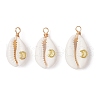 Copper Wire Wrapped Natural Cowrie Shell Pendants PALLOY-JF03554-03-1
