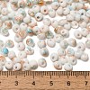 Baking Paint Glass Seed Beads X1-SEED-F006-01A-12-4