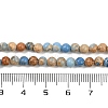 Dyed Natural Regalite/Imperial Jasper/Sea Sediment Jasper Beads Strands G-B124-C04-13-4