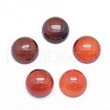 Natural Carnelian Cabochons X-G-P393-R18-10mm-1