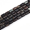 Natural Biotite Beads Strands G-N346-01B-02-2
