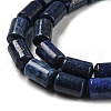 Natural Lapis Lazuli Beads Strands G-M420-E02-03-4