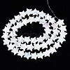 Natural Trochid Shell/Trochus Shell Beads Strands SSHEL-N034-96A-B01-2