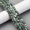Natural Green Spot Jasper Beads Strands G-G002-A09-1