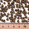 6/0 Glass Seed Beads X1-SEED-A009-4mm-601-3