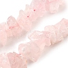 Natural Rose Quartz Beads Strands G-I283-F19-2