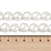 Electroplated Shell Pearl Beads Strands BSHE-G027-13B-5