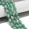 Natural Amazonite Beads Strands G-N342-46-2