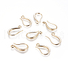 Brass Earring Hooks X-KK-G365-17G-1