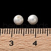 Shell Pearl Beads BSHE-XCP0001-80B-3