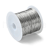 Non-Tarnish 316 Stainless Steel Wire TWIR-L004-01C-P-2