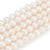 Natural Cultured Freshwater Pearl Beads Strands PEAR-I007-07X-02A-2
