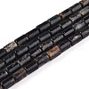 Natural Biotite Beads Strands G-T140-57-4
