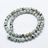 Natural Sesame Jasper/Kiwi Jasper Beads Strands G-I199-29-10mm-2