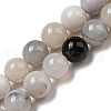 Natural Agate Beads Strands G-R494-A18-02-1